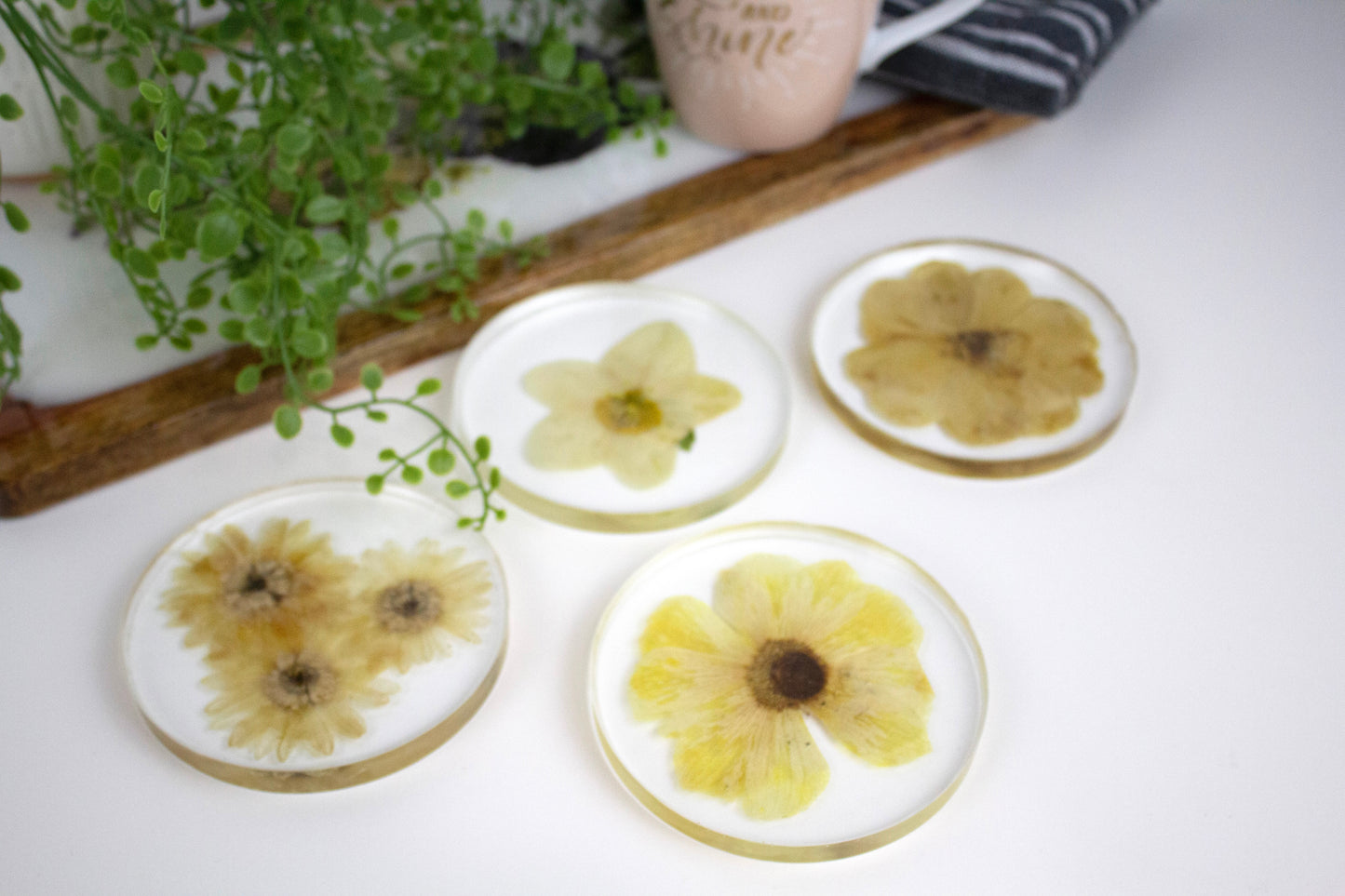 Coasters round Pressed flower