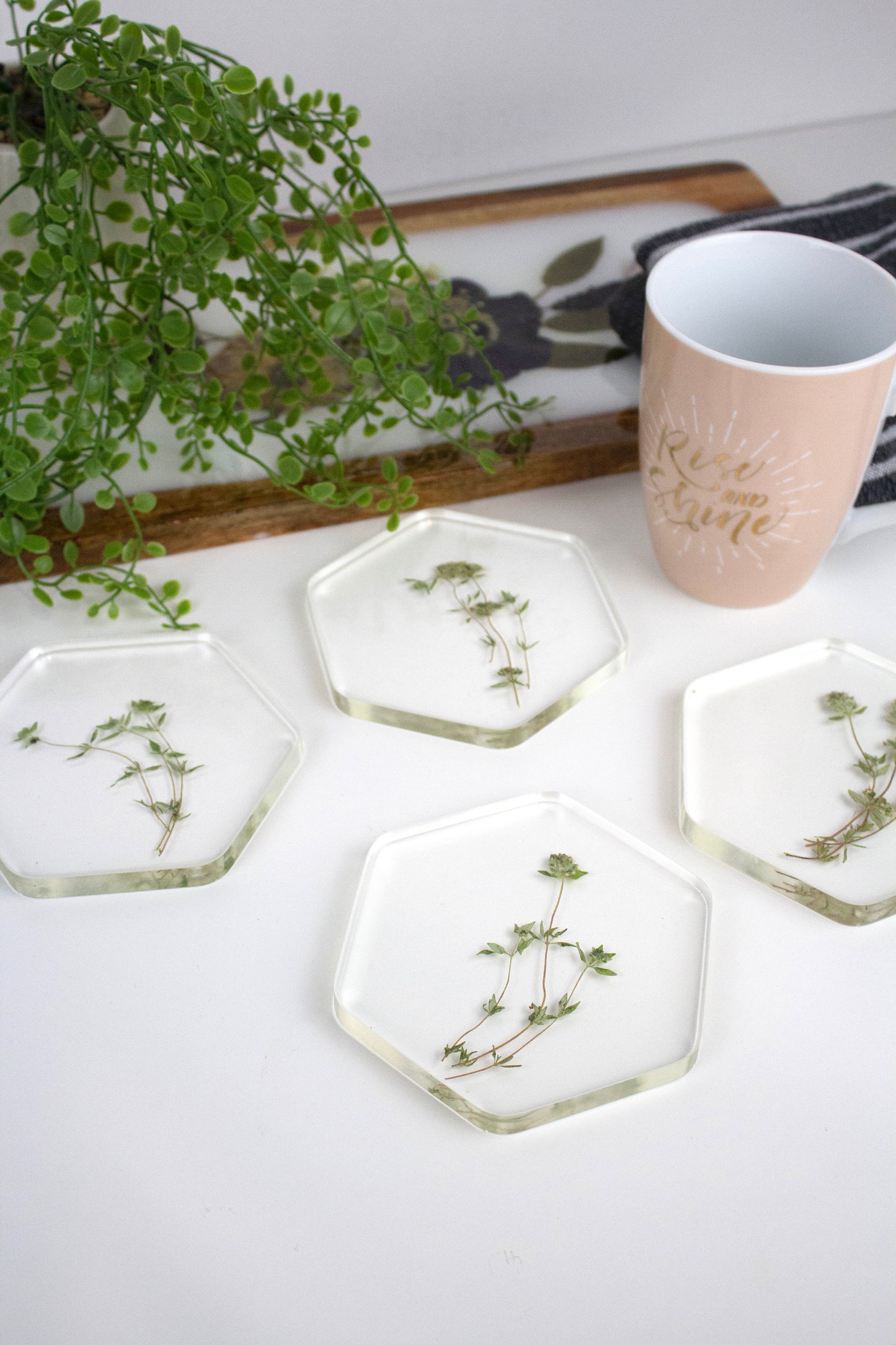 Coasters Hexagon Pressed flower