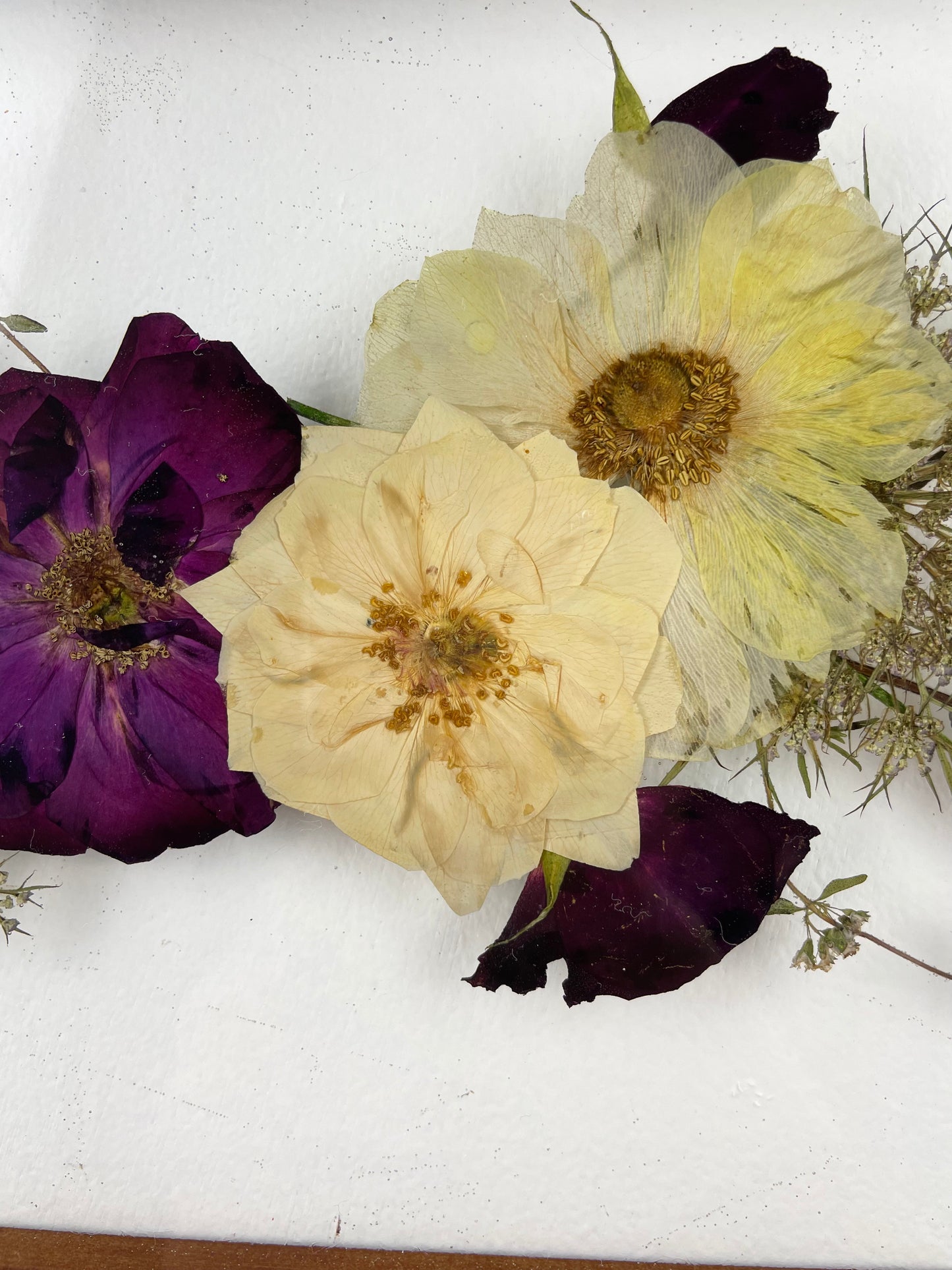 Wall hanging Pressed Flower