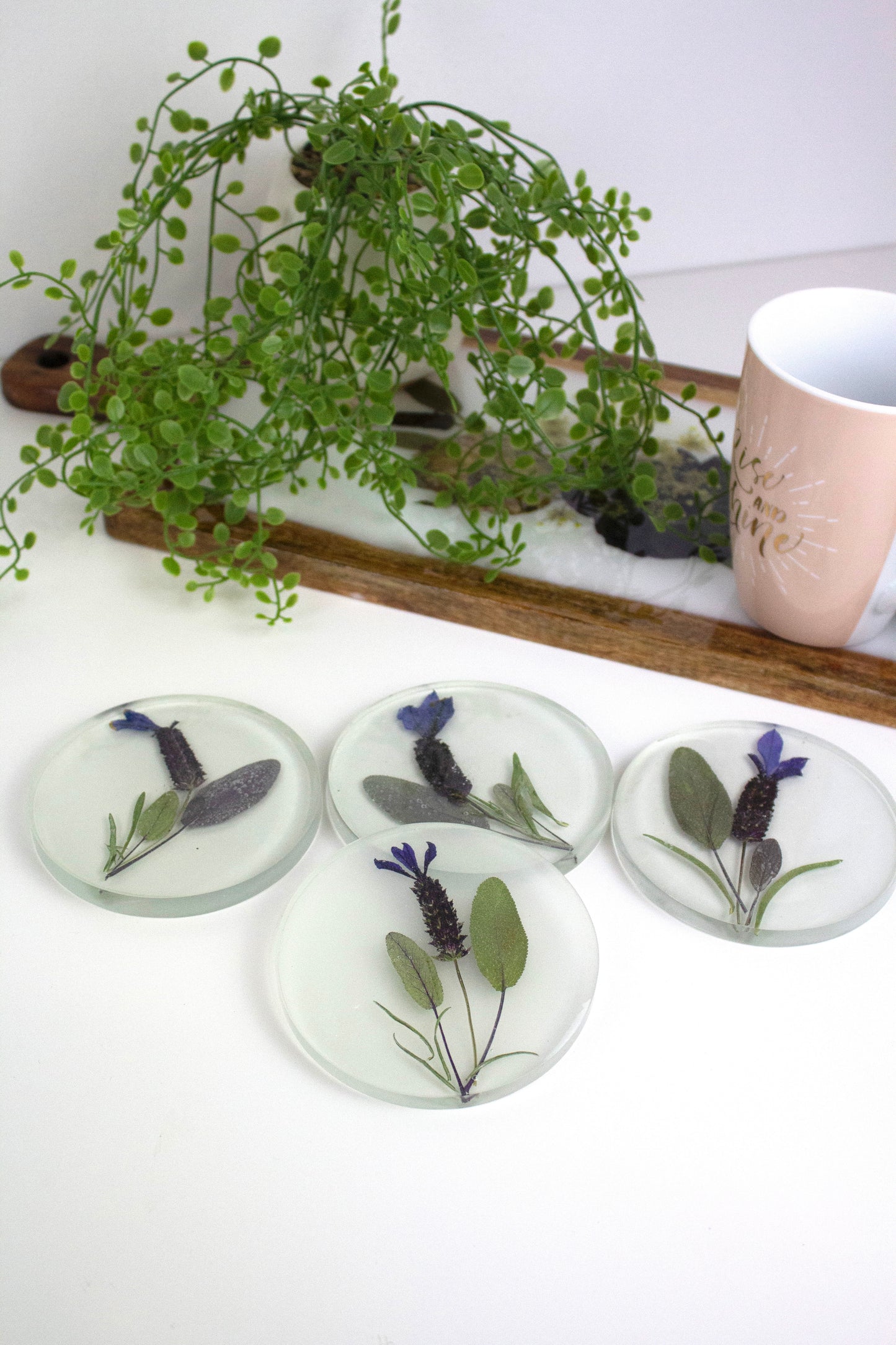 Coasters Round Pressed flower