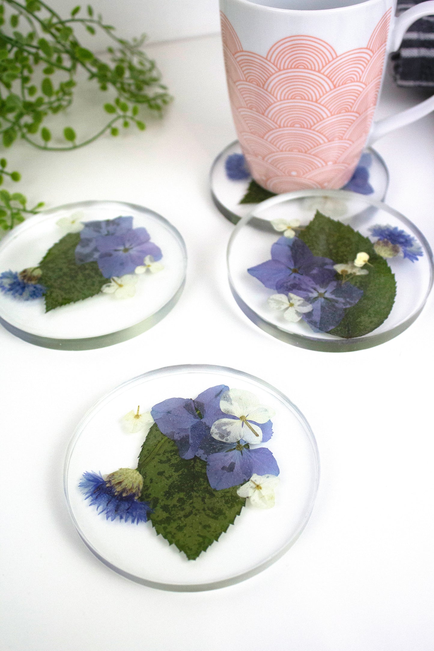 Coasters round Pressed flower