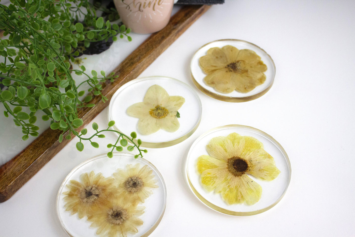 Coasters round Pressed flower