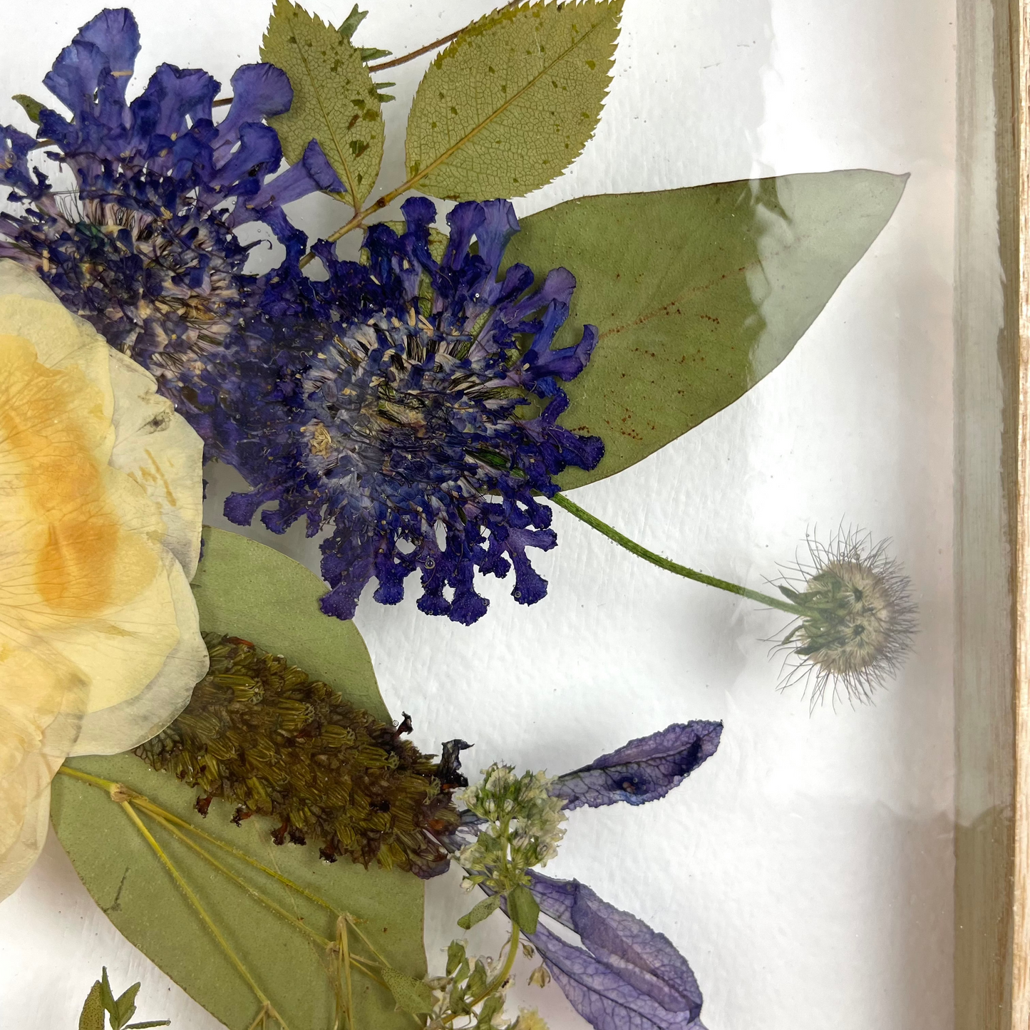 Wall hanging Pressed Flower
