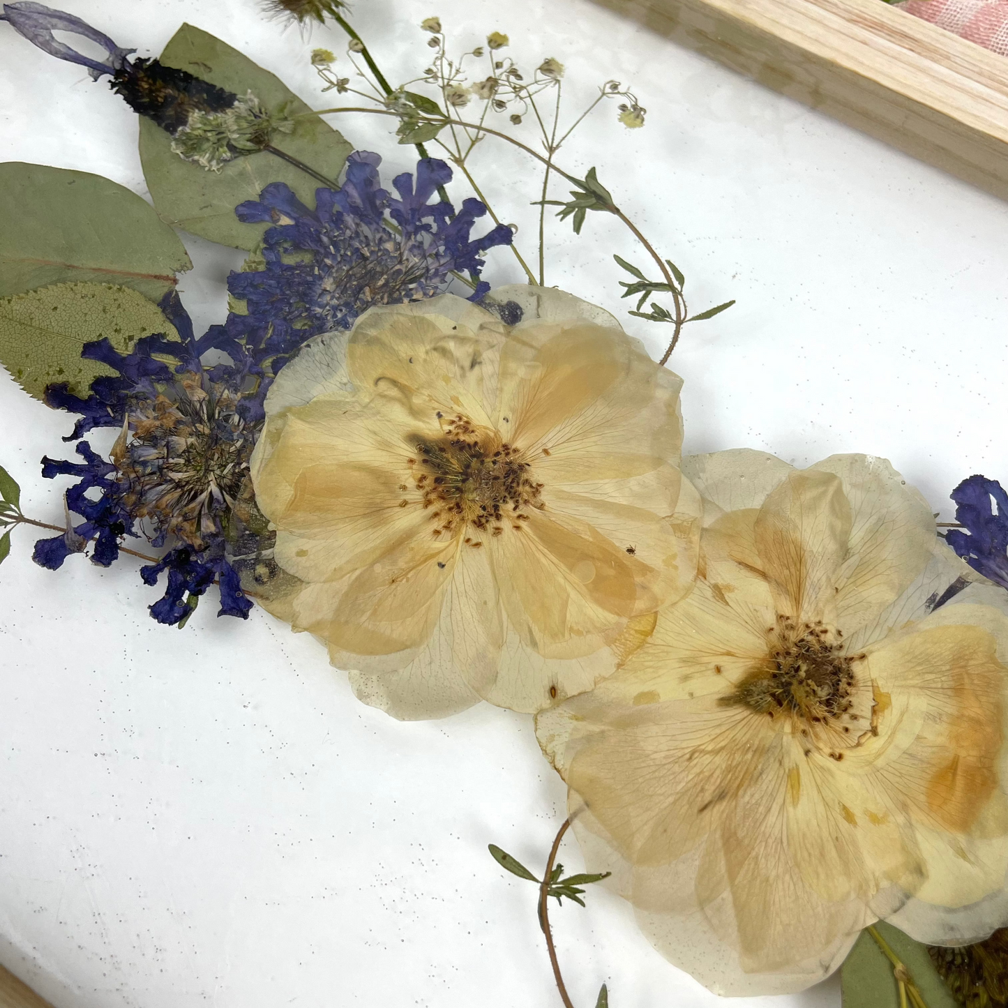 Wall hanging Pressed Flower