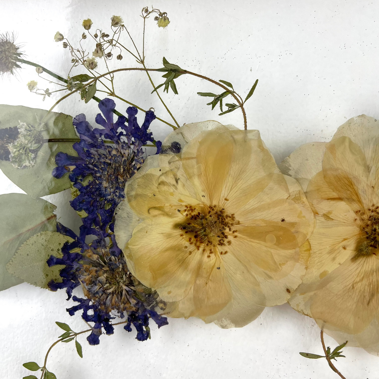 Wall hanging Pressed Flower