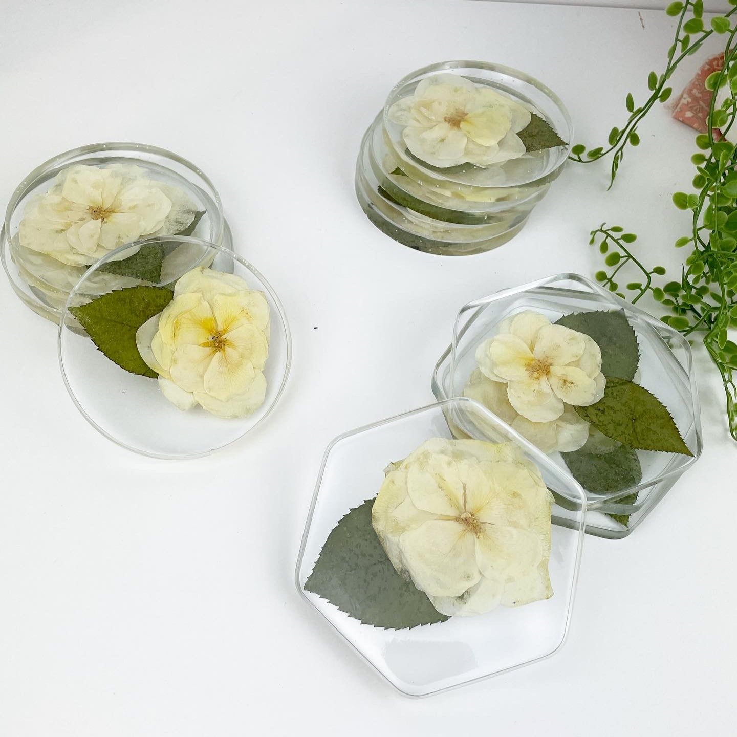 Coasters