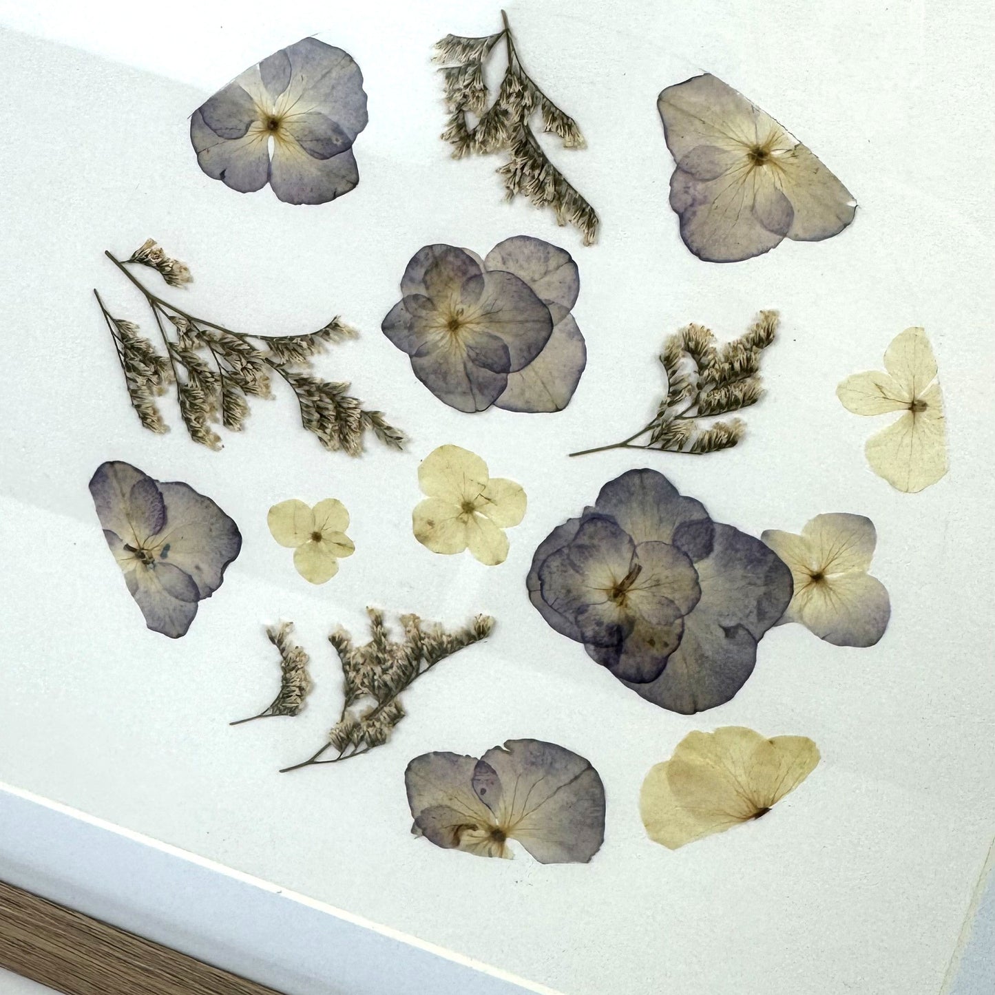 250x250mm Press flower Frames