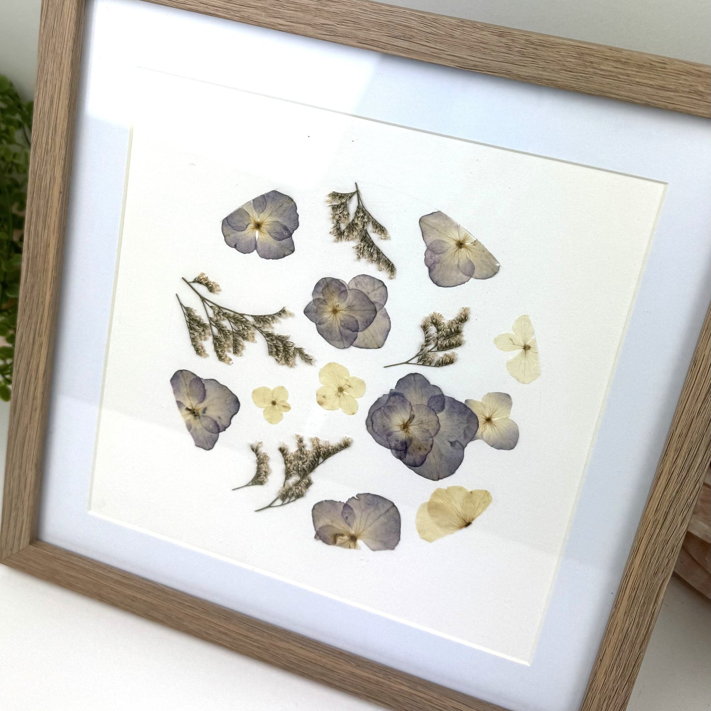 250x250mm Press flower Frames