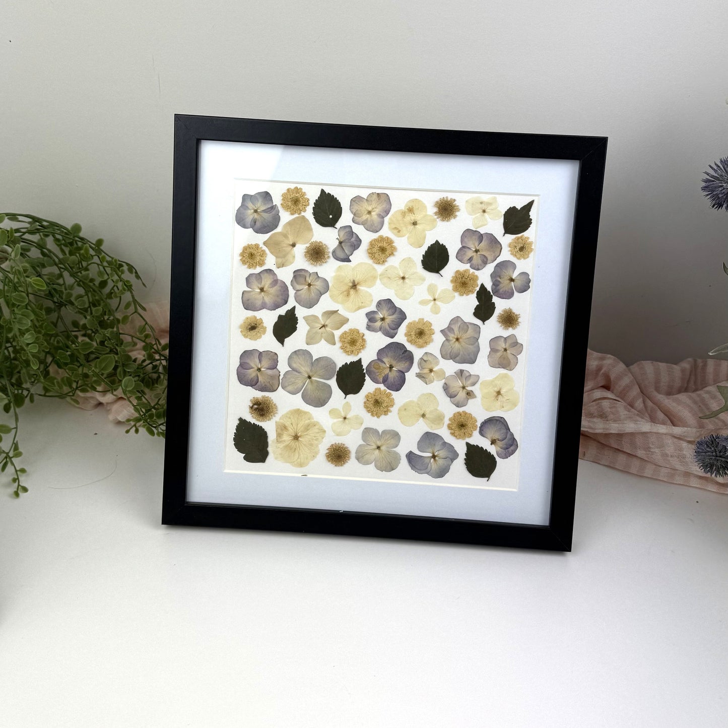 250x250mm Press flower Frames