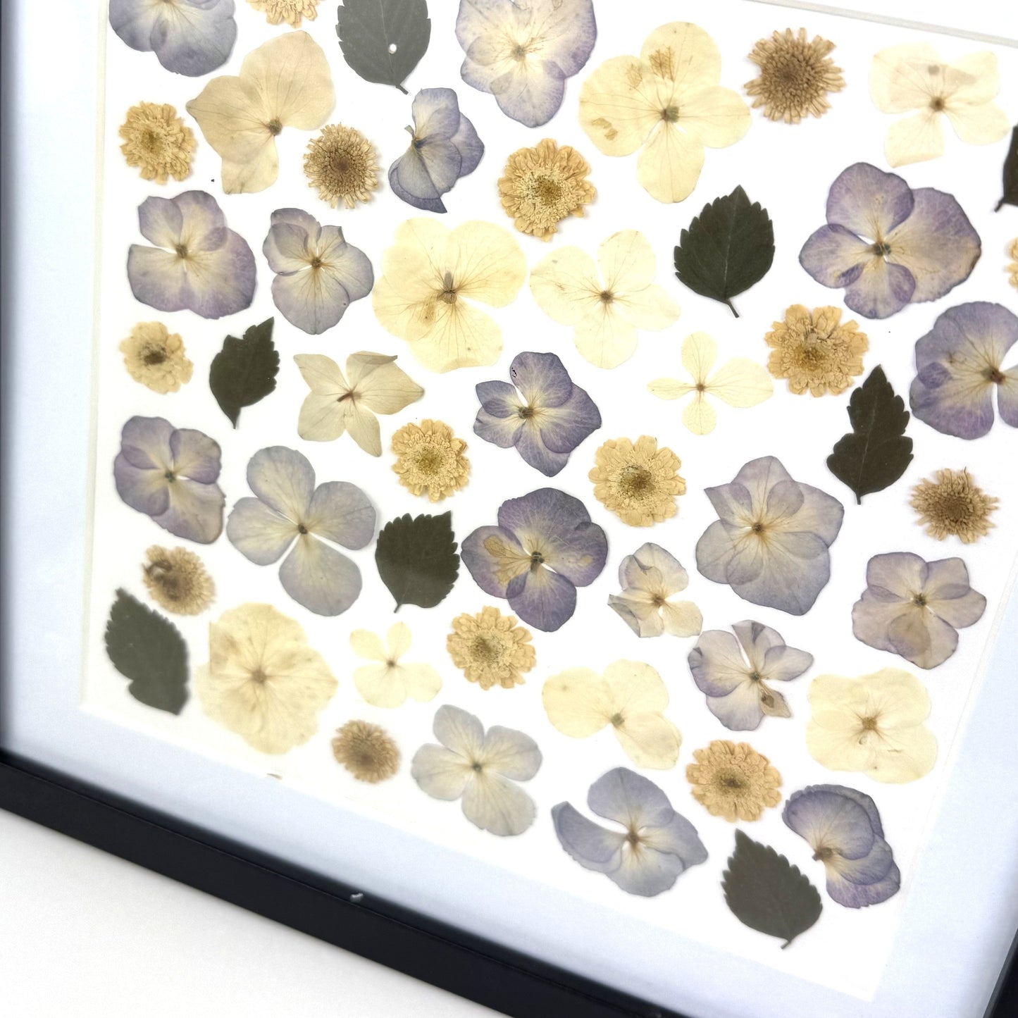 250x250mm Press flower Frames