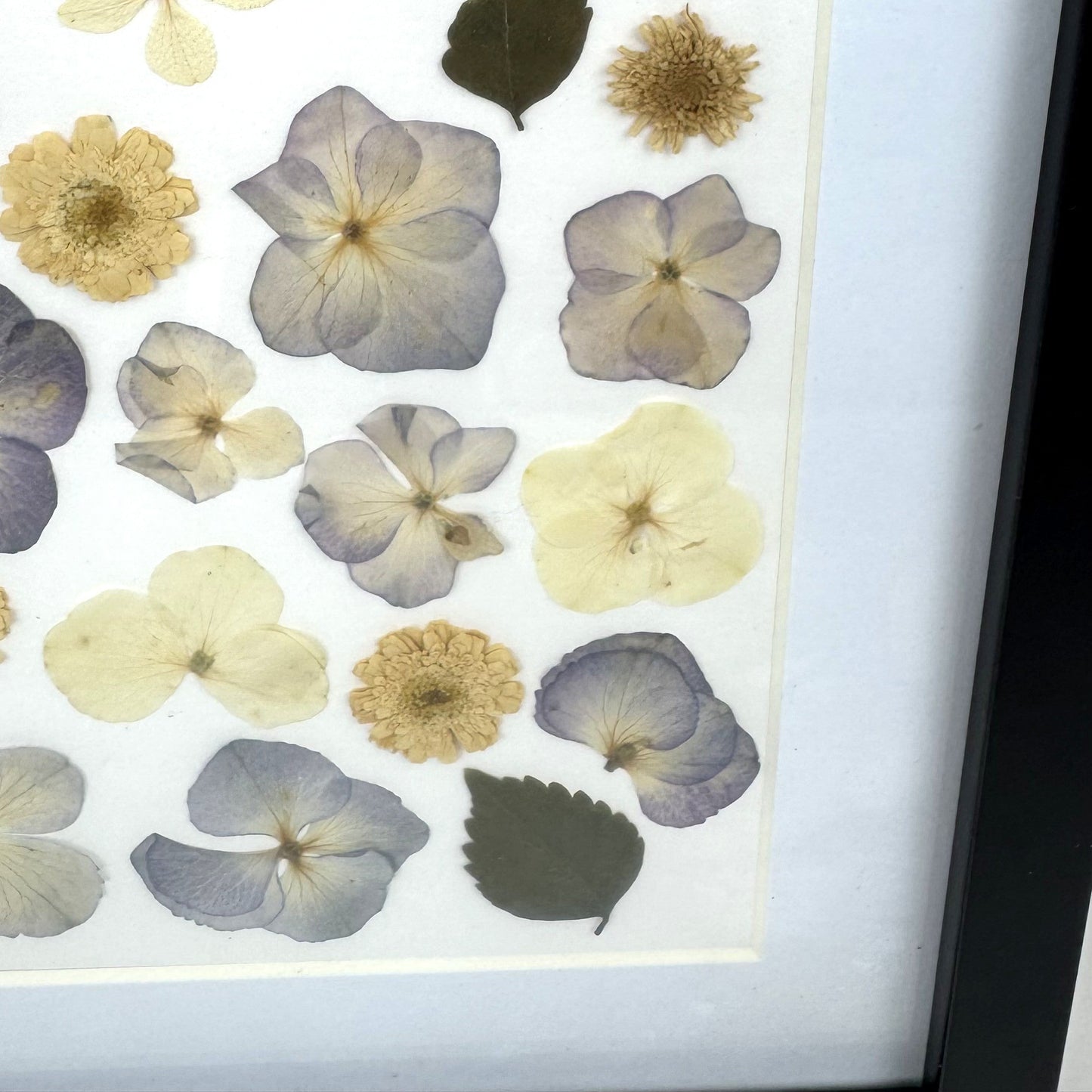 250x250mm Press flower Frames