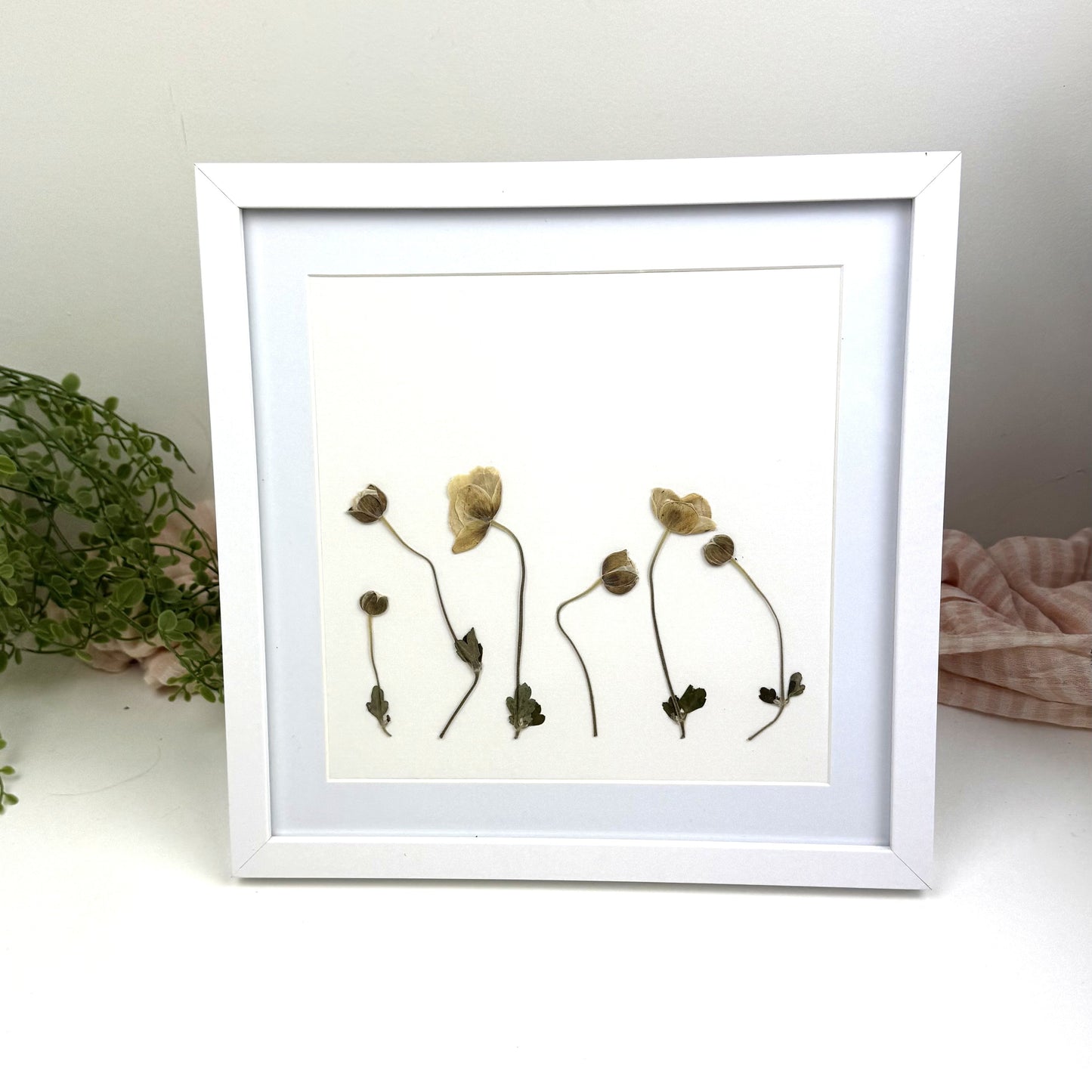 250x250mm Press flower Frames