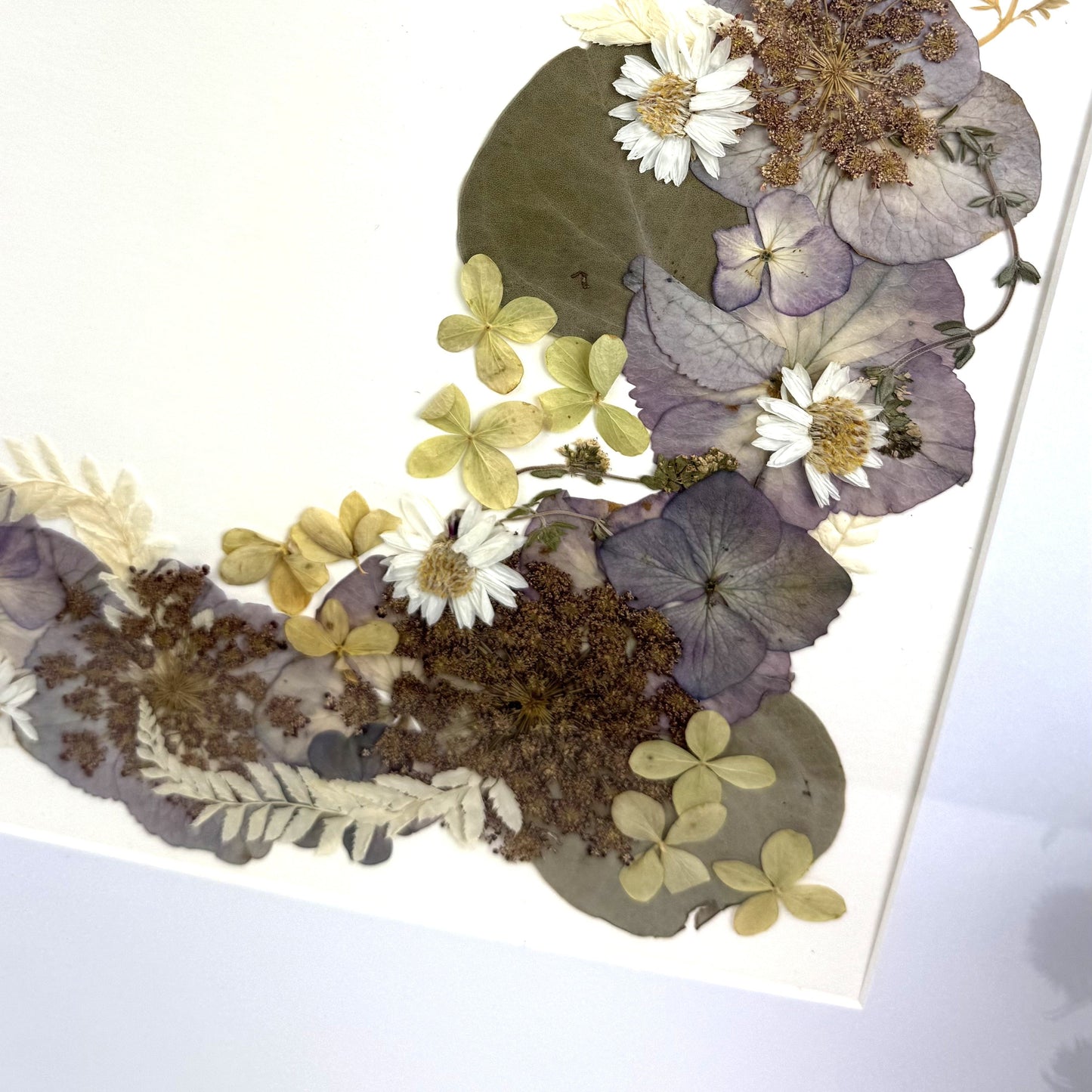 480x480 Pressed flower Frames
