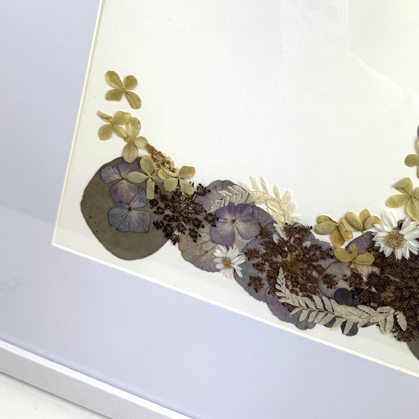 480x480 Pressed flower Frames