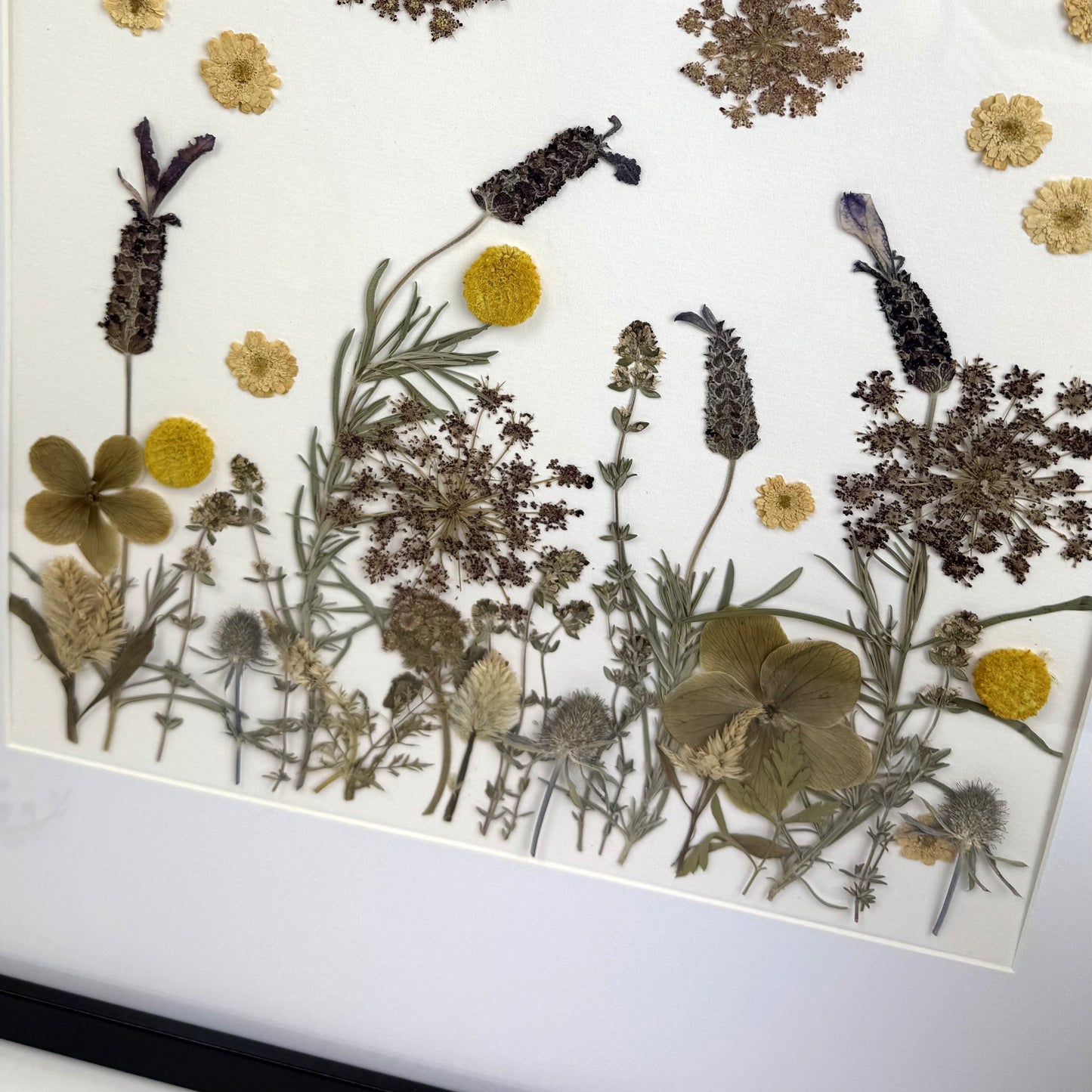 480x480 Pressed flower Frames