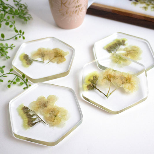 Coasters Hexagon  Pressed flower
