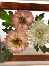 Load image into Gallery viewer, Chrysanthemum
