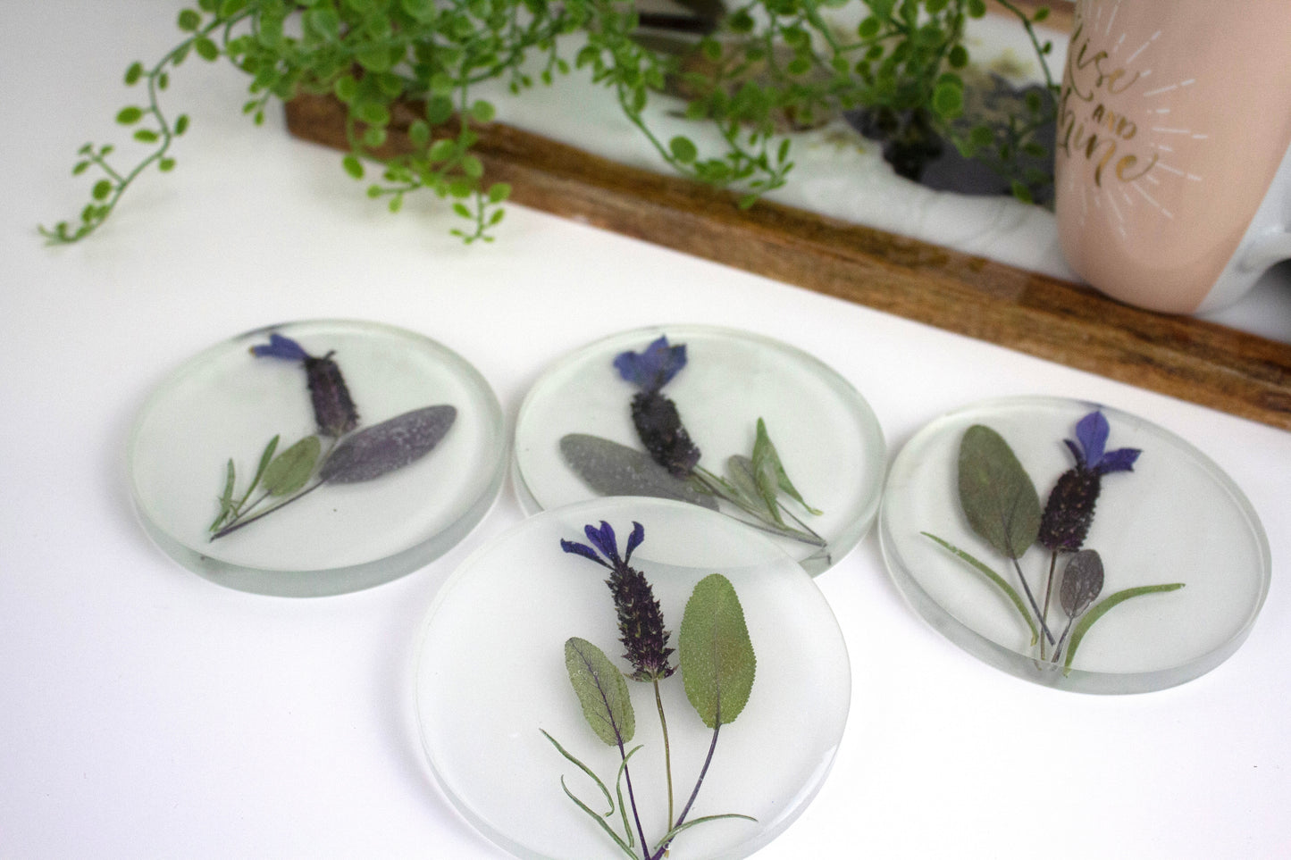 Coasters Round Pressed flower