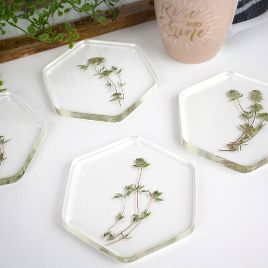 Coasters Hexagon  Pressed flower