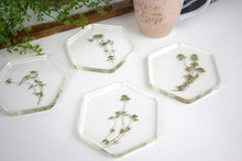 Load image into Gallery viewer, Pressed flower hexagon coasters
