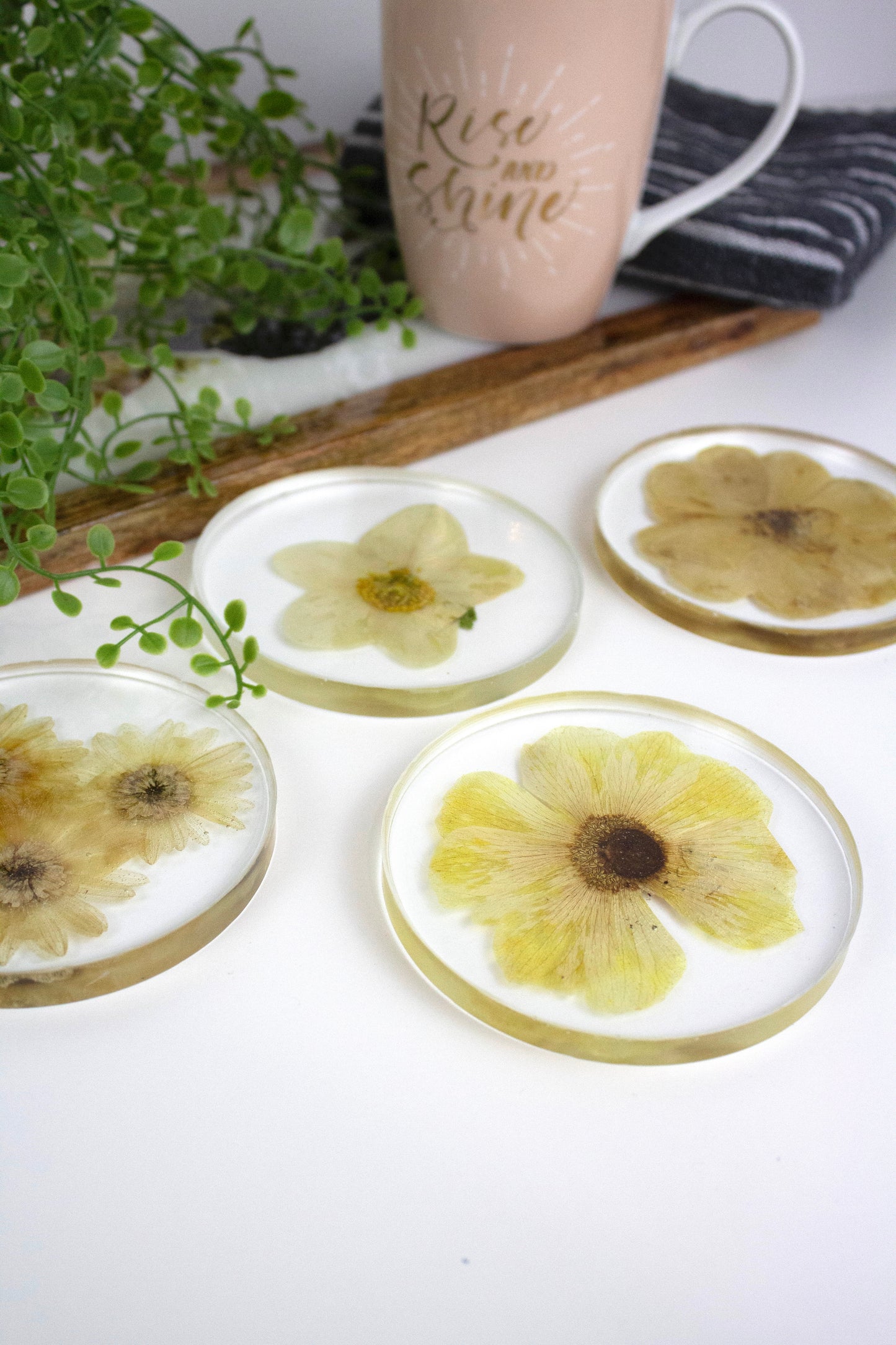 Coasters round  Pressed flower