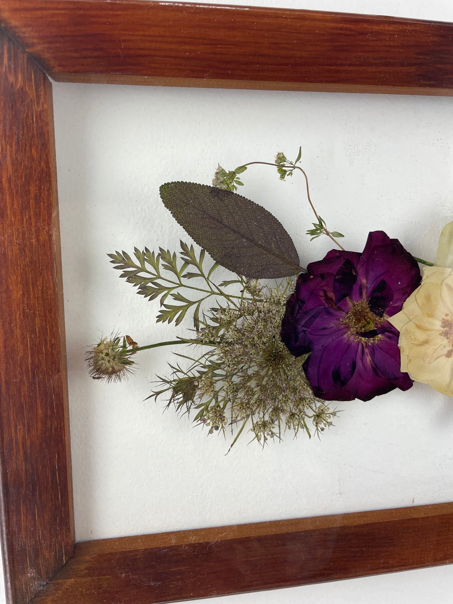 Wall hanging Pressed Flower